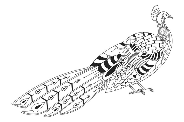 A vector of cute peacock isolated in white background - Vektör, Görsel