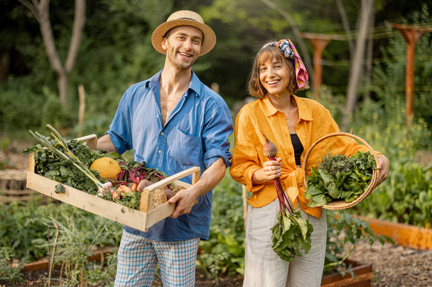Two cheerful farmers stand together with boxes full of freshly picked vegetables at local farmland. Concept of organic food and sustanable lifestyle - Foto, Imagem