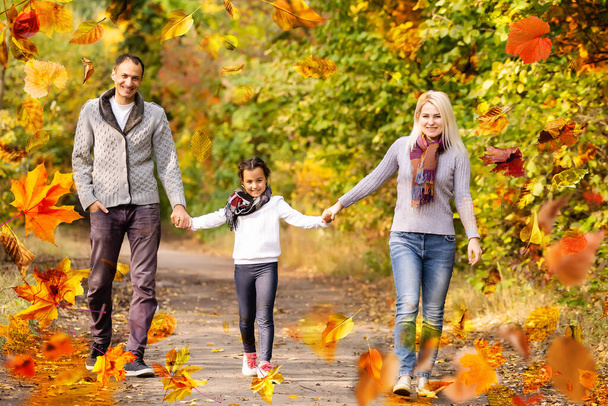 family walking in an autumn park with fallen fall leaves. High quality photo - Photo, image