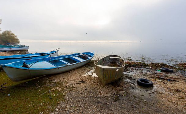Птахи та човни Герона на озері Маньяс, Бандірма, Балісексір, Туреччина. - Фото, зображення