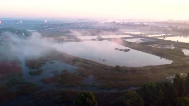 Aerial drone view flight over lakes and fog above them on early summer morning. Many artificially created dug lakes for growing fish farming at dawn. Fish industry. Beautiful aerial summer landscape - Materiaali, video