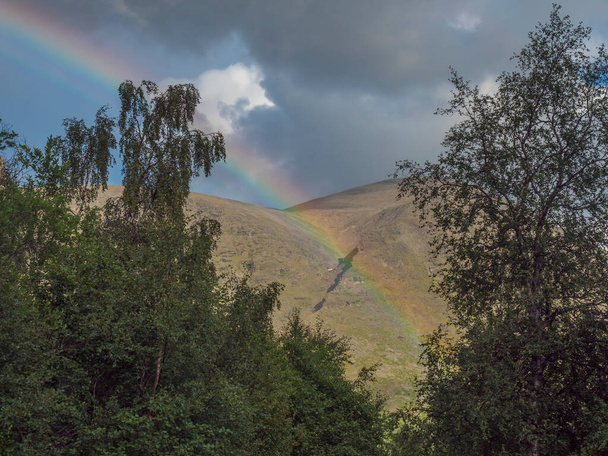 Rainbow over green hills,mountains and birch tree forest at Swedish landscape Lapland at Padjelantaleden hiking trail. Summer overcast day. - Photo, Image