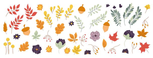 ig doodle set of hand drawn autumn floral design elements. Fall elements leaves, flowers on white background for autumn fall, agricultural harvest, Thanksgiving or Halloween designs - Vector, Imagen