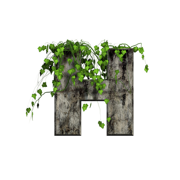 Green ivy on 3d stone letter - h - Zdjęcie, obraz