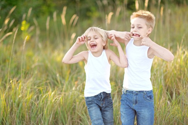 two children playing on meadow in summer - Foto, imagen