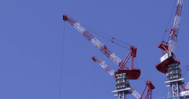Stopping cranes at the under construction daytime long shot. High quality 4k footage. Minato district Iikurakatamachi Tokyo Japan 08.09.2022 It is center of the city in Tokyo. - Filmmaterial, Video