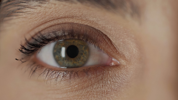 close up view of woman with hazel eye and mascara on eyelashes looking at camera  - Photo, image