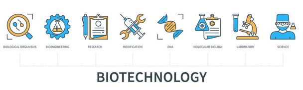 Biotechnology concept with icons. Biological organisms, bioengineering, research, modification, DNA, molecular biology, laboratory, science. Business banner. Web vector infographic in minimal flat line style - Vector, Image