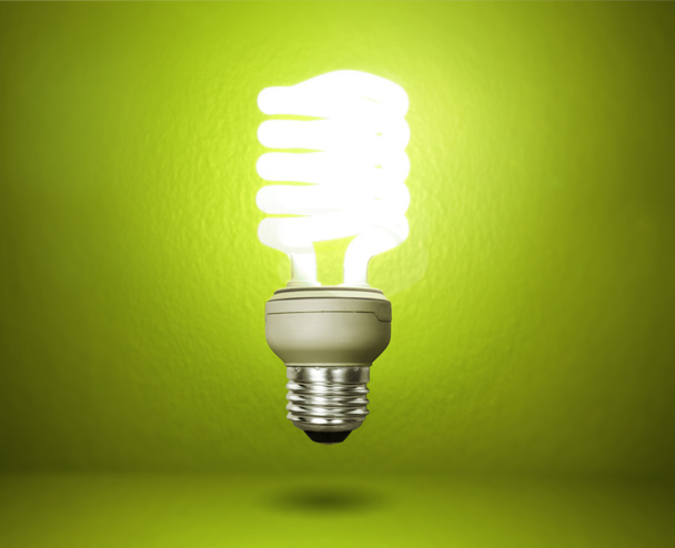 Energy saving light bulb - Photo, Image