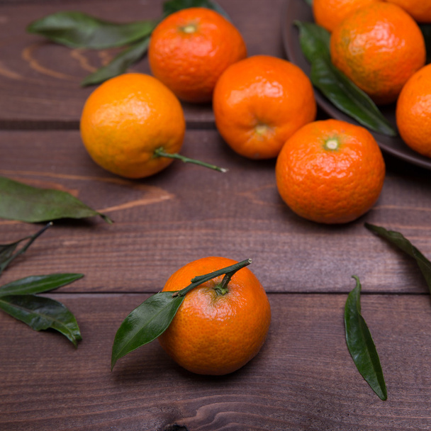 tangerines - Фото, изображение