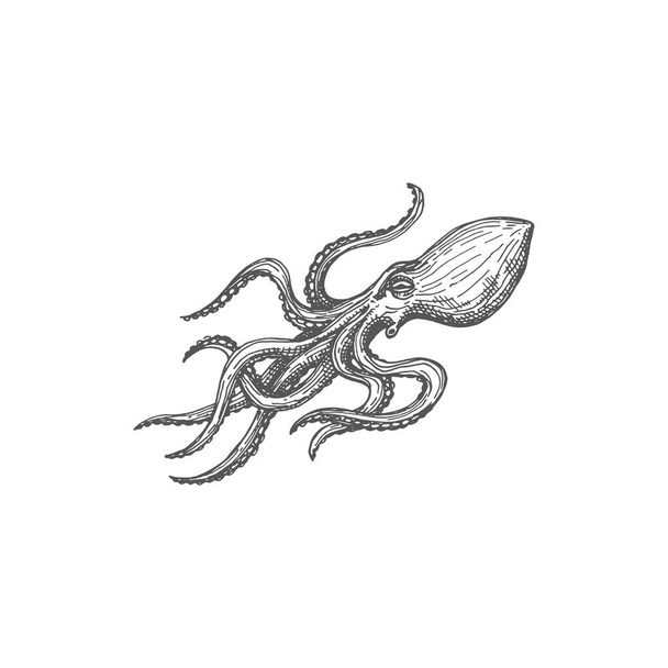 Devilfish sketch, vintage octopus marine creature isolated monochrome icon. Vector eight-limb mollusk with eight sucker-bearing arms, octopus with soft body. Giant aquatic organism, kraken sea monster - Vektör, Görsel