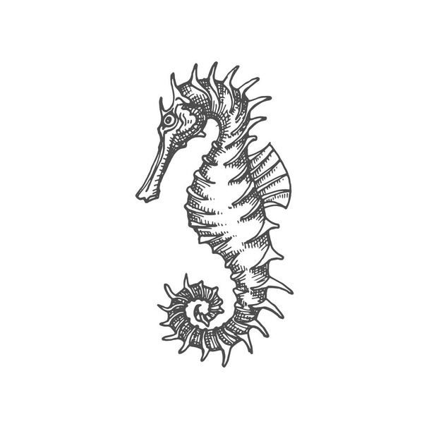 Marine seahorse isolated small fish with curved tailman striped body and spikes. Vector sea horse aquatic creature mascot, profile view monochrome sketch icon. Sea-horse underwater animal Hippocampus - Wektor, obraz