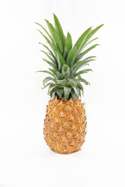 Pineapple - Foto, imagen