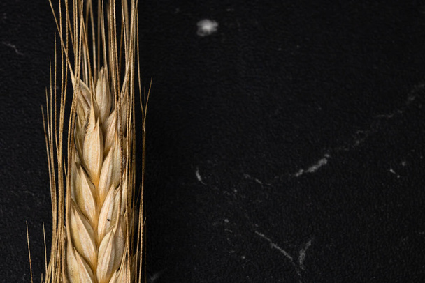 Orelhas de trigo detalhe. Cereais para backery, produção de farinha - Foto, Imagem