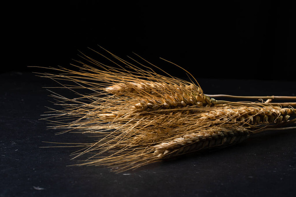 Wheat ears detail. Cereals for backery, flour production - Zdjęcie, obraz