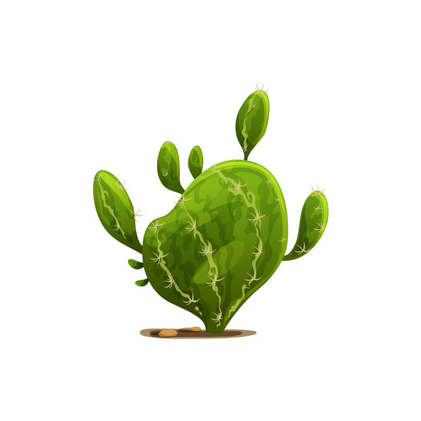 Суккулентный кактус агава изолированное мультяшное колючее сочное растение, экзотическая агава маргината. Вектор - дикий вековой пельмери с широкими листьями. Мексиканский кактус, ботанические кактусы с шипами - Вектор,изображение