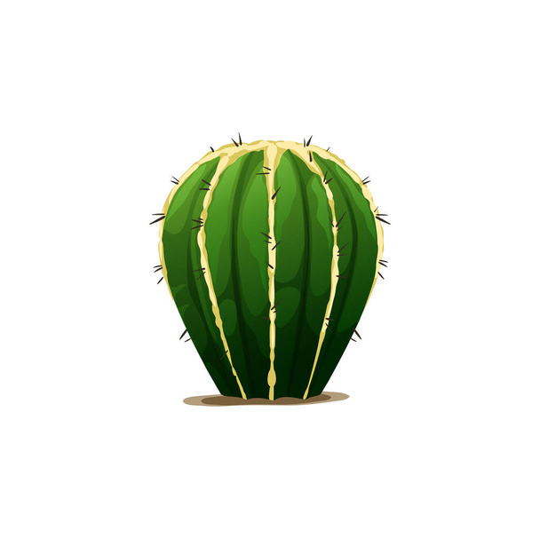 Barrel shape cactus isolated succulent scandinavian indian cacti. Vector prickly flower plant, desert decoration element, western opuntia tropical botanical cactus. Tropical spiky cactus sharp thorns - Wektor, obraz
