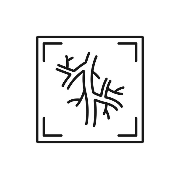 Computed tomography angiogram isolated CT test outline icon. Vector X-rays of blood vessels that go to heart, lung or brain, head or neck - ベクター画像