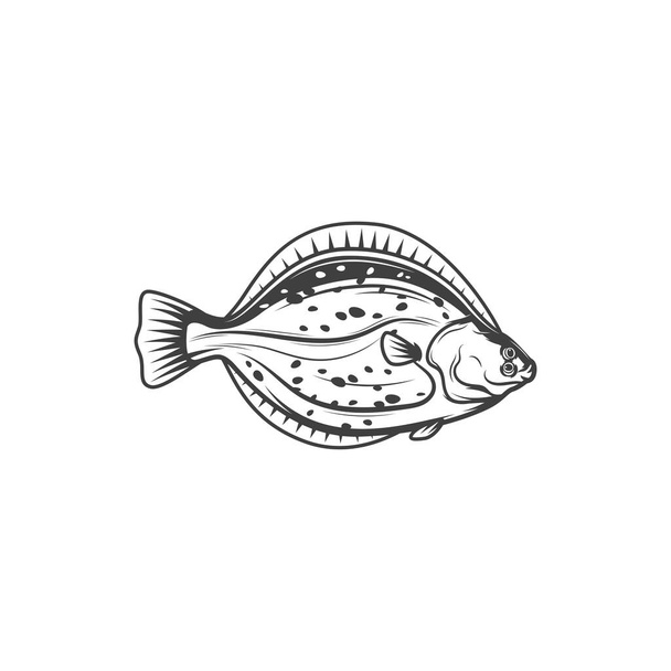 Flounder fish, sea food and fishing vector icon. Ocean flatfish flounder, cuisine cooking food or marine restaurant menu fish, fishery market catch in flat line - Vettoriali, immagini
