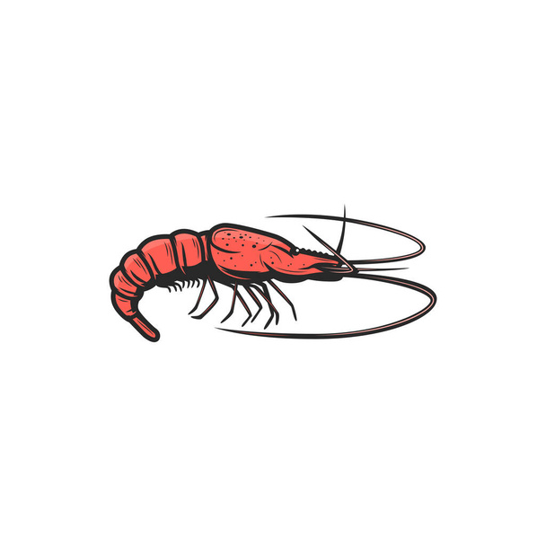 Prawn shellfish crustaceans isolated shrimp icon. Vector red shrimp appetizer snack, tiger sea shrimp, mediterranean cuisine food mascot. Seafood, underwater marine animal with long whiskers - Vector, afbeelding