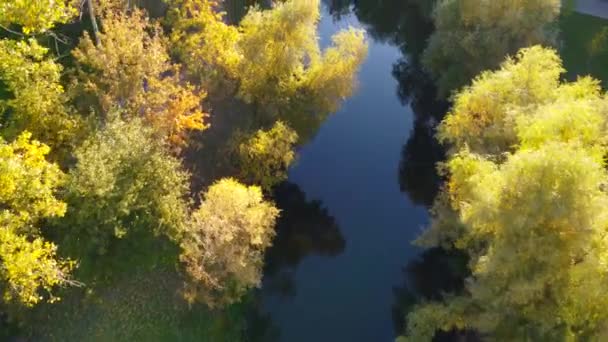 Park Peremoga in autumn taken with drone in Kyiv, Ukraine - Video