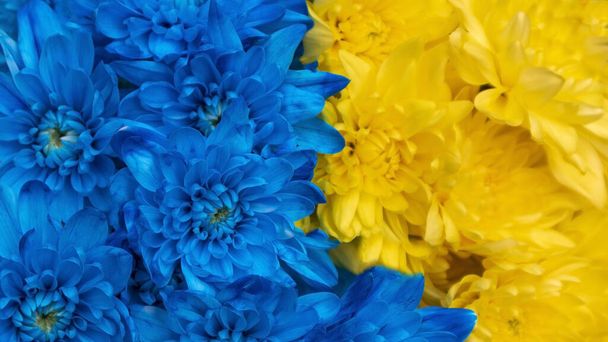 yellow and blue flowers in a bouquet. - Foto, Imagen