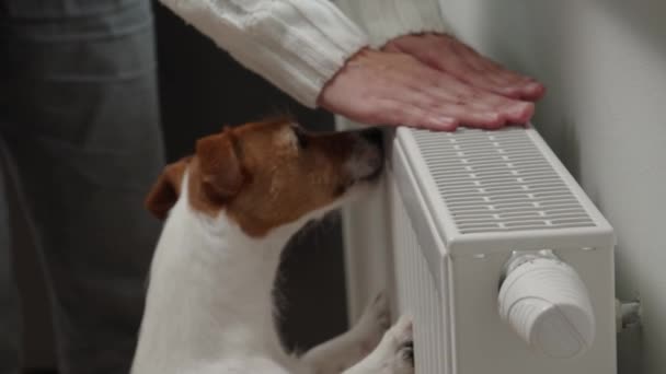 Woman with dog adjusting temperature on heating radiator, Energy crisis concept in Europe, Rising costs in private households for gas bill due to inflation and war - Materiaali, video