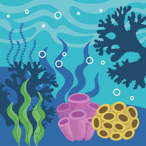 coral reef and algaes sea scene - Vetor, Imagem