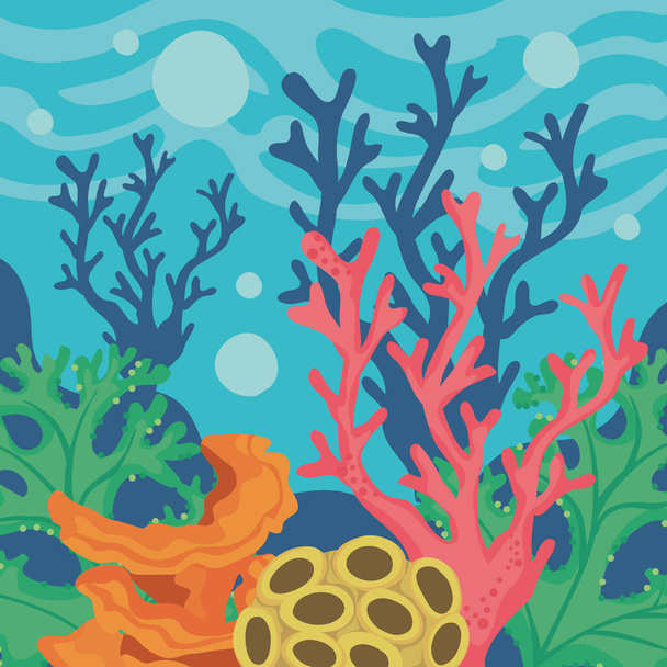 algaes and seaweed coral reef scene - Vetor, Imagem