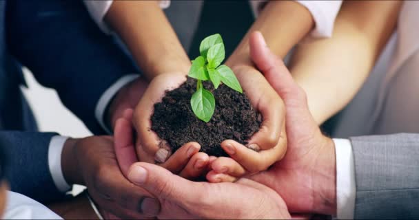 Sustainability and business growth by a corporate team in partnership and unity for future company development. Coworkers in support or collaboration for innovation in the environment or nature. - Filmmaterial, Video