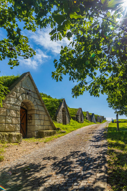 Gombos-hegyi pincesor in Hercegkut, sito UNESCO, Great Plain, Ungheria settentrionale - Foto, immagini