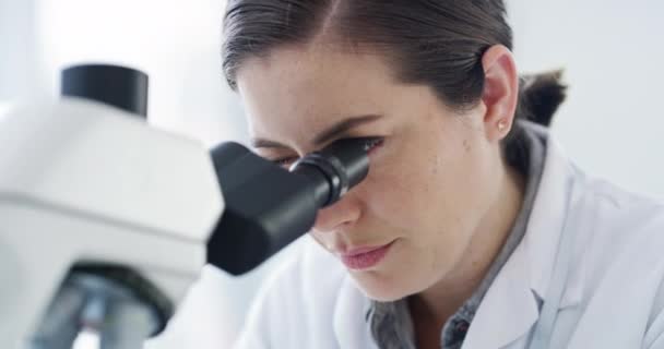 Scientist, microscope and forensic science of a woman working in research lab for a new discovery. Serious female expert in forensics experiment at work looking at particles and samples for results - Metraje, vídeo