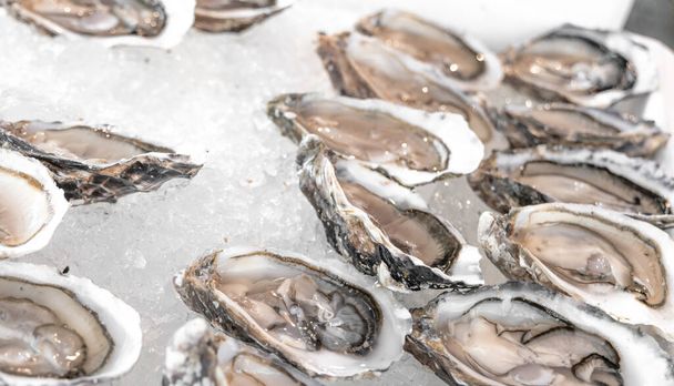 Verse geopende eiwitrijke oester op gemalen ijs in visrestaurant of markt. Selectieve focus. Gezond gastronomisch voedsel met mineralen. Natuurlijke afrodisiaca. Selectieve focus - Foto, afbeelding