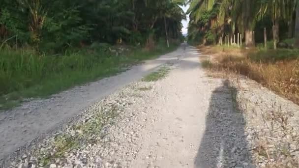 footage of the forward motion movement in the rural countryside road pathway. - Séquence, vidéo