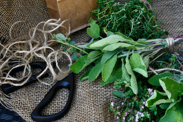 An image of several freshly picked bunches of organically grown herbs used for cooking and herbal medicine.  - Foto, Imagen