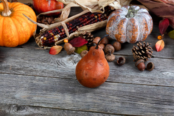 Close up a ripe pear fruit with autumn harvest background of gourds, corn, acorns on rustic wood table  - Foto, Imagem