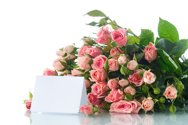 pink roses - Фото, зображення