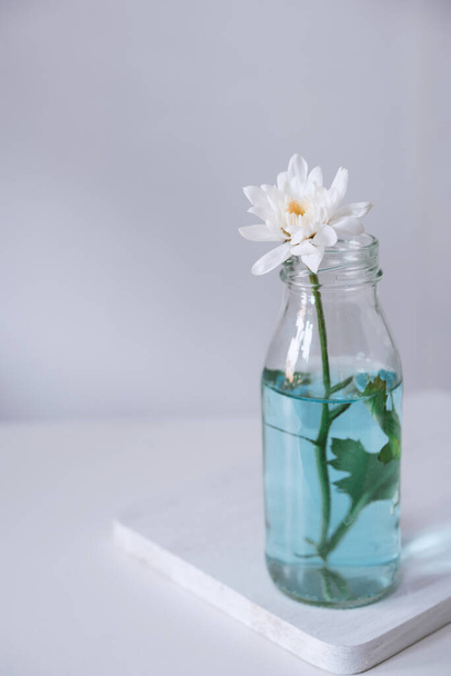 white flower on white table - Foto, Imagen