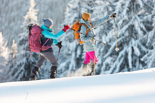 Duas mulheres caminham na neve, trekking de inverno, duas pessoas nas montanhas no inverno, equipamento de caminhadas - Foto, Imagem
