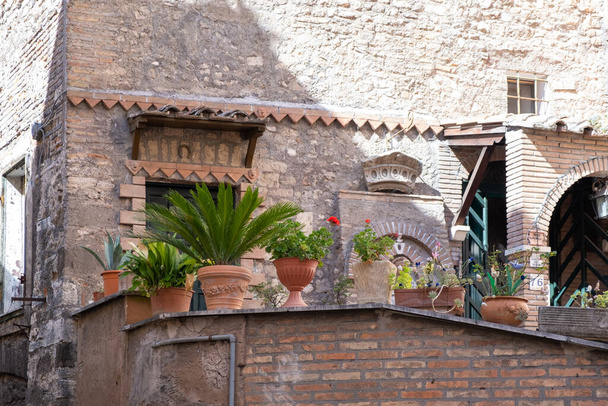 Des pots de fleurs riches, abondants et isolés avec des buissons dans la cour devant un ancien mur de bâtiment - Photo, image