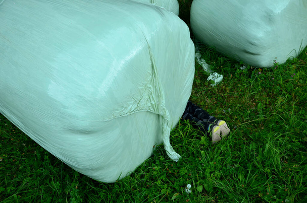 bales of fermented meadow hay for cattle feed are heavy and unstable cylinders wrapped in plastic film. children can be overwhelmed and crushed to the ground. legs peeking out from under the package - Zdjęcie, obraz