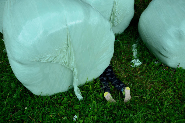 bales of fermented meadow hay for cattle feed are heavy and unstable cylinders wrapped in plastic film. children can be overwhelmed and crushed to the ground. legs peeking out from under the package - Photo, Image