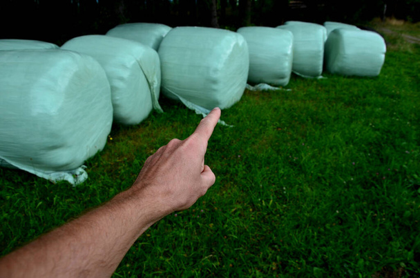 bales of fermented meadow hay for cattle feed are heavy and unstable cylinders wrapped in plastic film. children can be overwhelmed and crushed to the ground. legs peeking out from under the package - Φωτογραφία, εικόνα