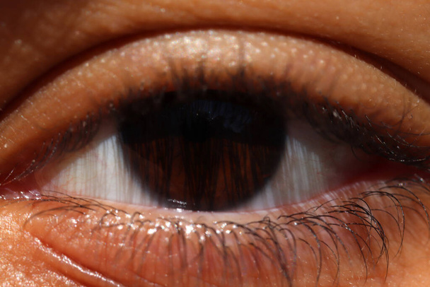 human eye close-up girl child - Fotografie, Obrázek