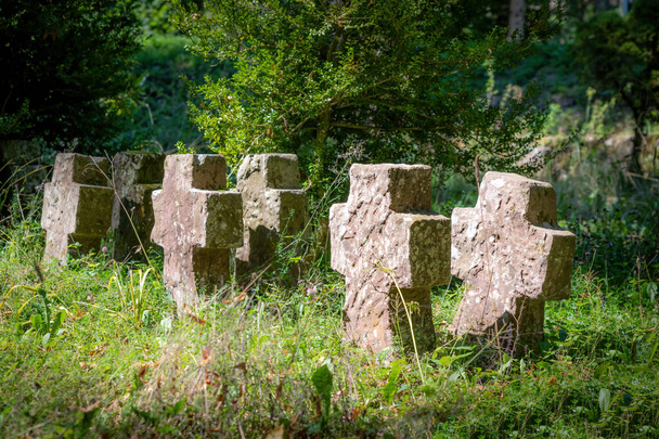 Very old tombstones made of red sandstone overgrown with grass and weeds stand in a row - Photo, image