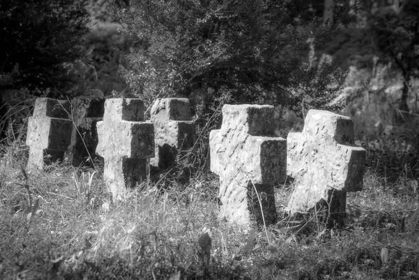 Very old tombstones made of red sandstone overgrown with grass and weeds stand in a row monochrom - Photo, image