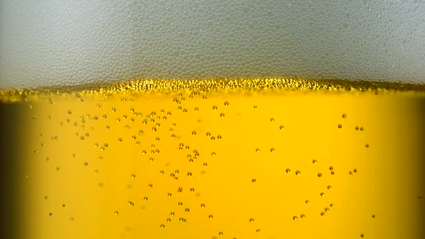 Beer bubbles in glass - Footage, Video