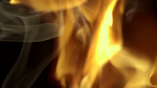 tűz a lángok - Felvétel, videó