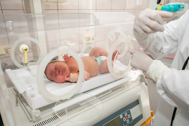 A premature newborn in a special incubator in the children's department of the hospital. - 写真・画像