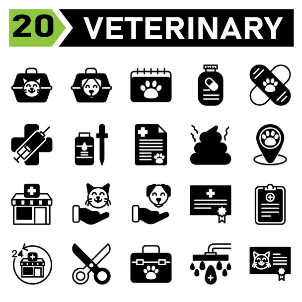 Veterinary icon set include carrier, vet, pet, box, cat, dog, calendar, appointment, veterinary, schedule, medication, supplement, vitamin, vaccine, bandied, clinic, medic, syringe, virus, flee - Vector, imagen